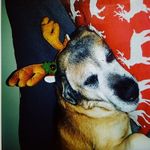 _Beryl_Smith_ - @_beryl_smith_ - Instagram