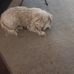 Beryl Smith - Facebook