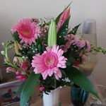 Beryl Smith - @minimummomentum - Instagram