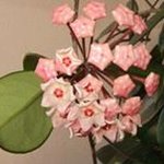 Beryl Armstrong - @beryl.armstrong.16 - Instagram