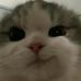 Beryl Wang - Facebook