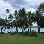 Beryl Wang - @berylfiji - Instagram