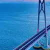 berylwiles2 - @berylwiles2 - TikTok