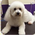Beryl York - @berylyork - Instagram
