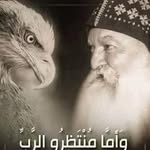 Beshoy Said - @beshoysaid1996 - Instagram