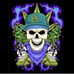 Canna Bis - Facebook