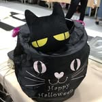 Bess  Chang - @bc_momosakura - Instagram