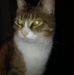 Bessie Mcgee - Facebook