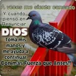 Bessy Murillo - @bessy8443 - Instagram