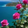 Bessy Rojass - @bessy.rojass - TikTok