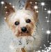 Bessy Smith - Facebook