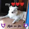 betbetjohnson - @betbetjohnson - TikTok