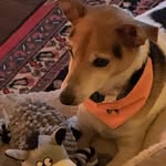Brenda Johnson - @betjohnson63 - Instagram