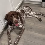 Beth Ackerman - @backerman06 - Instagram
