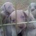 Beth Ackerman Moss - Facebook