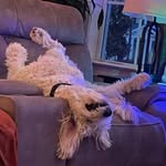 Beth Jones Ahern - @bahern81 - Instagram