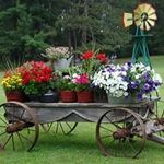 Beth Ann Tarnowski Ahrens - @tarnowskiahrens - Instagram
