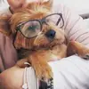 Elizabeth Ainslie - @elizabeth.ainslie - TikTok