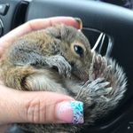 Beth Akers Reynolds - @icelord3699 - Instagram