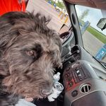 Beth Hiett Akers - @beth_akers - Instagram