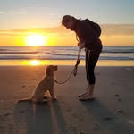 Beth Akins - @beth_akins - Instagram