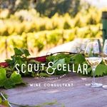 Beth Albright - @bethpopandpour.scoutandcellar - Instagram