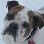Beth Albright - @albright.beth - Instagram