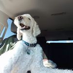 Mary Beth Albright - @mary.b.albright.1 - Instagram