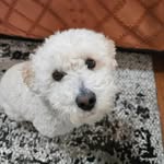 Beth Alderman - @bkitt64 - Instagram