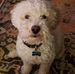 Beth Alderman - Facebook
