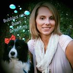 Beth Armstrong - @bubblesandbowsgroomingillinois - Instagram
