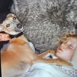 beth armstrong - @betharmstrong3403 - Instagram