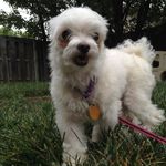 Beth Arneson -ENGL102 - @betha_engl102 - Instagram