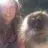 Beth Ashton - @bethasht0n - TikTok