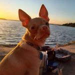Beth Atkinson - @bethatkinson614 - Instagram