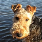 Beth Ault - Facebook