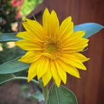 Beth Ault - @beth.ault9 - Instagram