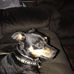 Beth Banks - Facebook