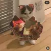 Bethbarry - @bethsweetberry - TikTok