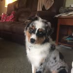 Beth Ann Barton - @bethbarton83 - Instagram