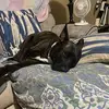 Beth Barton - @beth.barton5 - TikTok