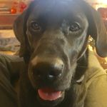 Bethany Baucom - @ba_baucom - Instagram