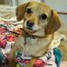 Beth Bauman - Facebook