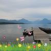 bethbaumannishida - @bethbaumannishida - TikTok