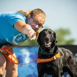 Beth Baumann - @teamlabradork - Instagram