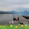 bethbaumannishida - @bethbaumannishida - TikTok