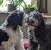 Beth Baumgartner - Facebook
