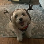 Beth Baunoch - @beth_baunoch - Instagram