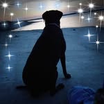 Beth Baxter - @bethbaxter71 - Instagram