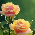 Beth Bay - Facebook